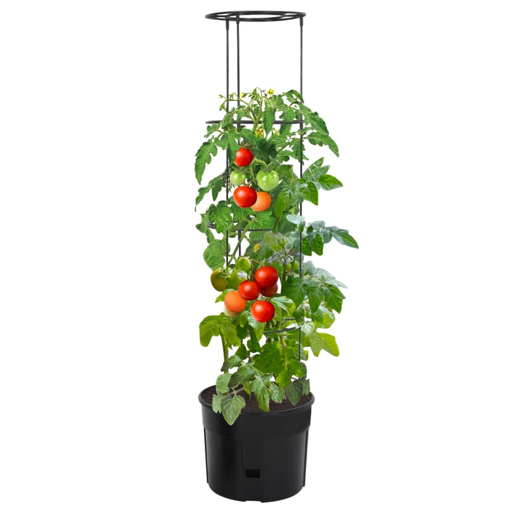 Culture de tomate Vidaxl Ø39x150 cm Anthracite en polypropène -colore