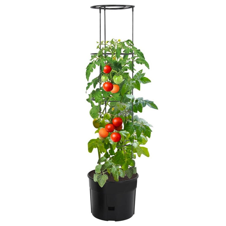 Culture de tomate Vidaxl Ø39x150 cm Anthracite en polypropène -colore