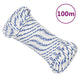 Corde à démarrage Vidaxl 3 mm 100 m de polypropylène blanc
