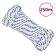 Corde à démarrage Vidaxl 3 mm 250 m de polypropylène blanc