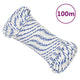 Corde à démarrage Vidaxl 4 mm 100 m de polypropylène blanc