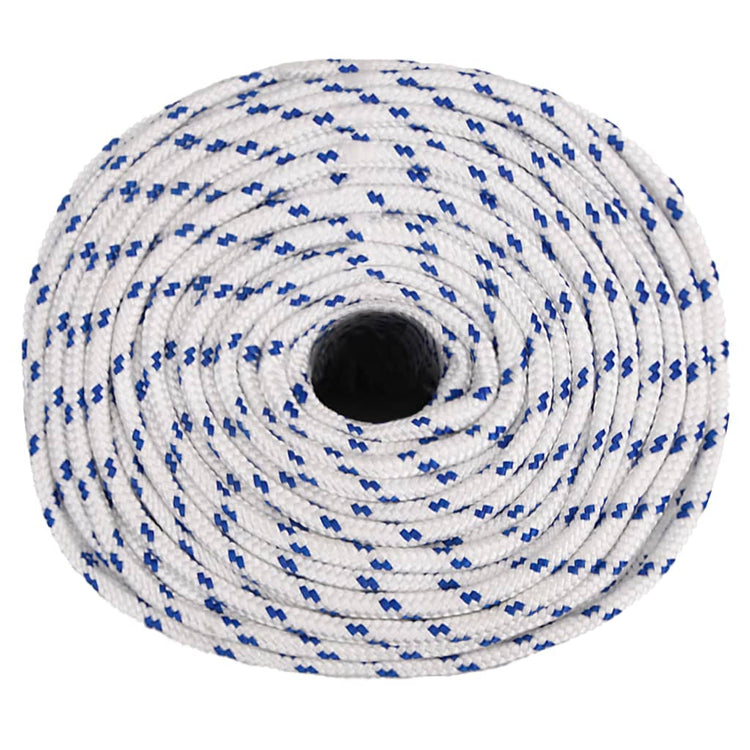 Corde à démarrage Vidaxl 6 mm 25 m de polypropylène blanc