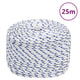 Corde à démarrage Vidaxl 8 mm 25 m de polypropylène blanc