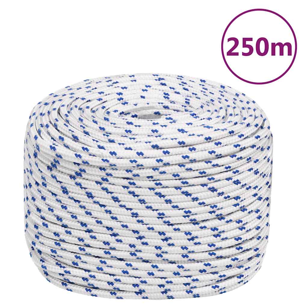 Corde à démarrage Vidaxl 8 mm 250 m de polypropylène blanc