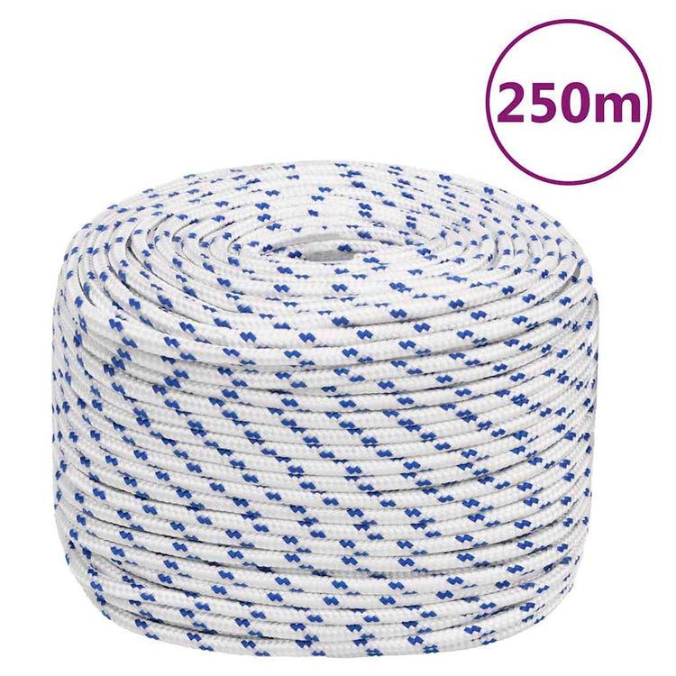 Corde à démarrage Vidaxl 8 mm 250 m de polypropylène blanc