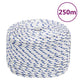 Corde à démarrage Vidaxl 8 mm 250 m de polypropylène blanc
