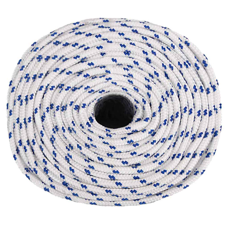 Corde à démarrage Vidaxl 8 mm 250 m de polypropylène blanc