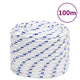 Corde à démarrage Vidaxl 16 mm 100 m de polypropylène blanc