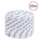 Corde à démarrage Vidaxl 18 mm 25 m de polypropylène blanc