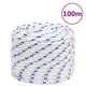 Corde à démarrage Vidaxl 18 mm 100 m de polypropylène blanc