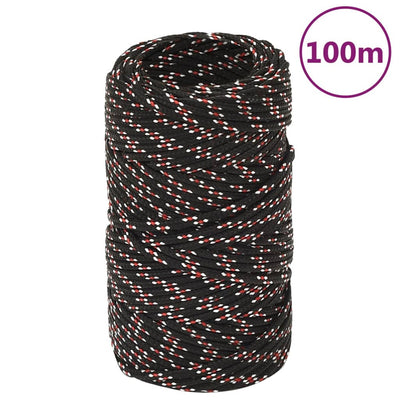 Corde à démarrage Vidaxl 2 mm 100 m de polypropylène noir