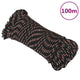 Corde à démarrage Vidaxl 3 mm 100 m de polypropylène noir