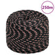 Corde à démarrage Vidaxl 8 mm 250 m de polypropylène noir