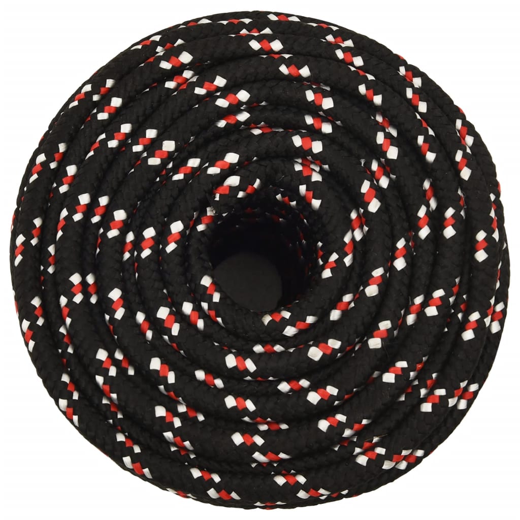 Corde à démarrage Vidaxl 12 mm 100 m de polypropylène noir