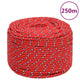 Corde de bateau Vidaxl 6 mm 250 m de polypropylène rouge