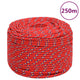 Corde de bateau Vidaxl 8 mm 250 m de polypropylène rouge