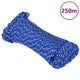 Corde à bateau Vidaxl 3 mm 250 m de bleu de polypropylène
