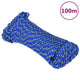 Corde à bateau Vidaxl 4 mm 100 m de bleu de polypropylène