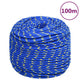 Corde de bateau Vidaxl 10 mm 100 m de bleu de polypropylène