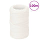 Corde de bateau Vidaxl 2 mm 100 m polypropylène plein blanc