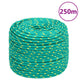 Corde à bateau Vidaxl 8 mm 250 m de polypropylène vert