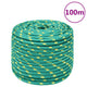 Corde à bateau Vidaxl 12 mm 100 m de polypropylène vert