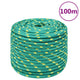 Corde à bateau Vidaxl 14 mm 100 m vert polypropylène