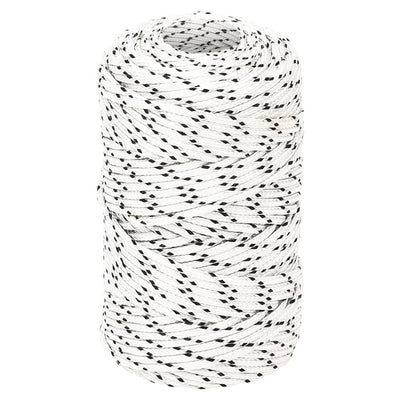 Corde de bateau vidaxl tressée 2 mm x 250 m de polyester blanc