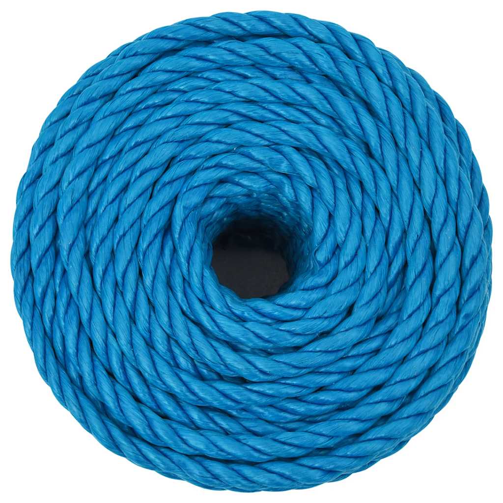 Vidaxl werkouw 10 mm 50 m de polypropène bleu