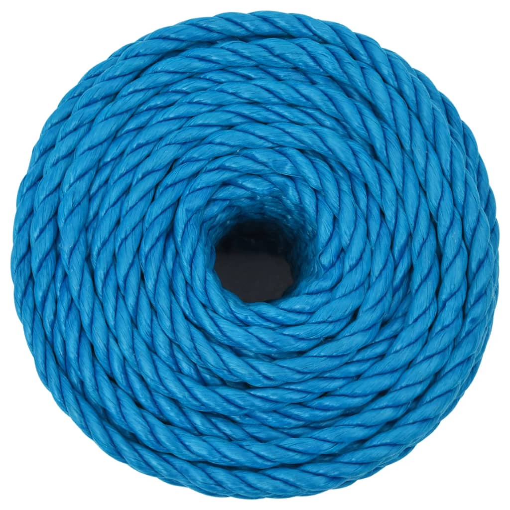 Vidaxl werkouw 12 mm 25 m de polypropène bleu