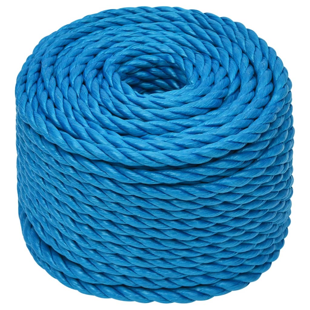 Vidaxl werkouw 12 mm 50 m de polypropène bleu