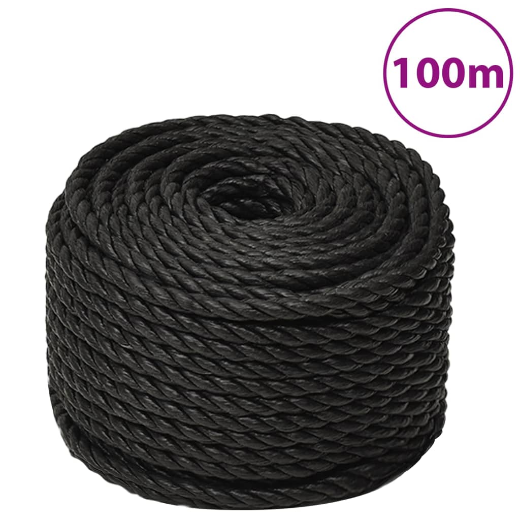 Vidaxl werkouw 10 mm 100 m de polypropène noir