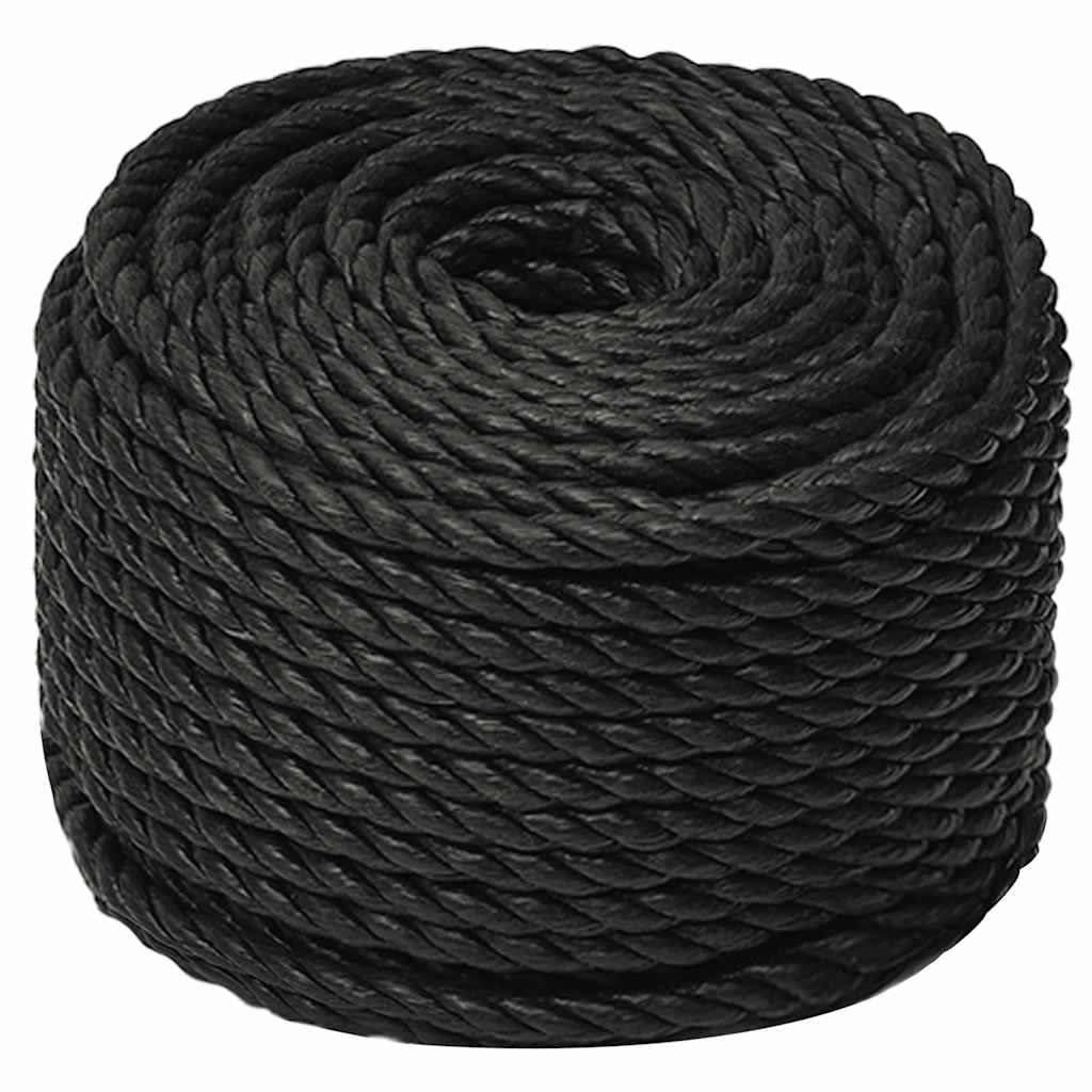 Vidaxl werkouw 10 mm 500 m de polypropène noir