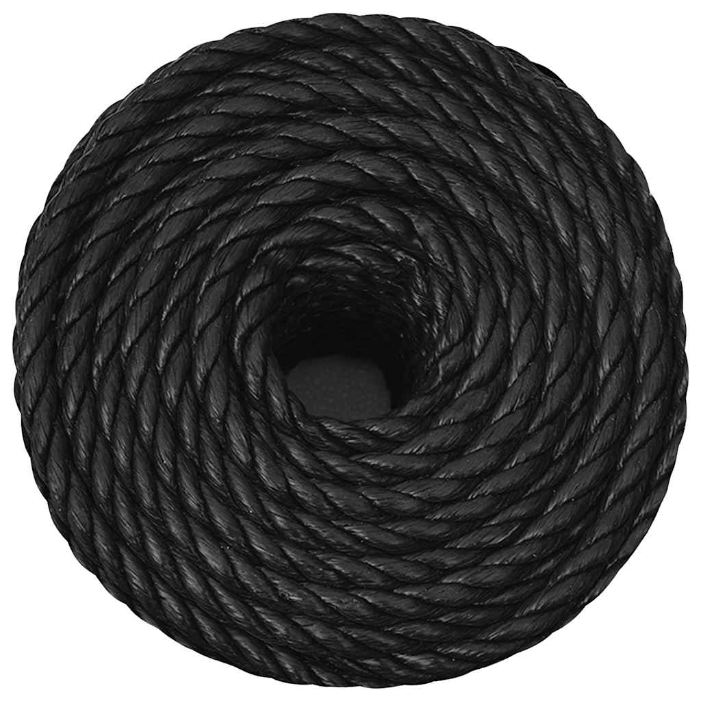 Vidaxl werkouw 10 mm 500 m de polypropène noir