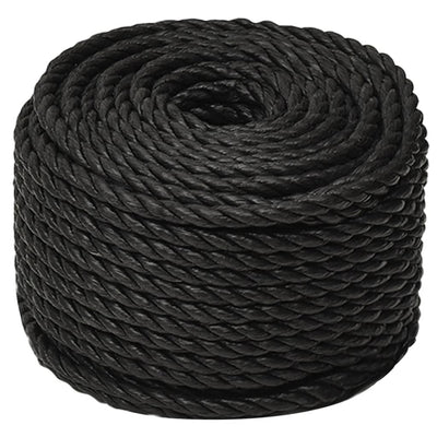 Vidaxl werkouw 12 mm 500 m de polypropène noir