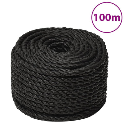 Vidaxl werkouw 20 mm 100 m de polypropène noir