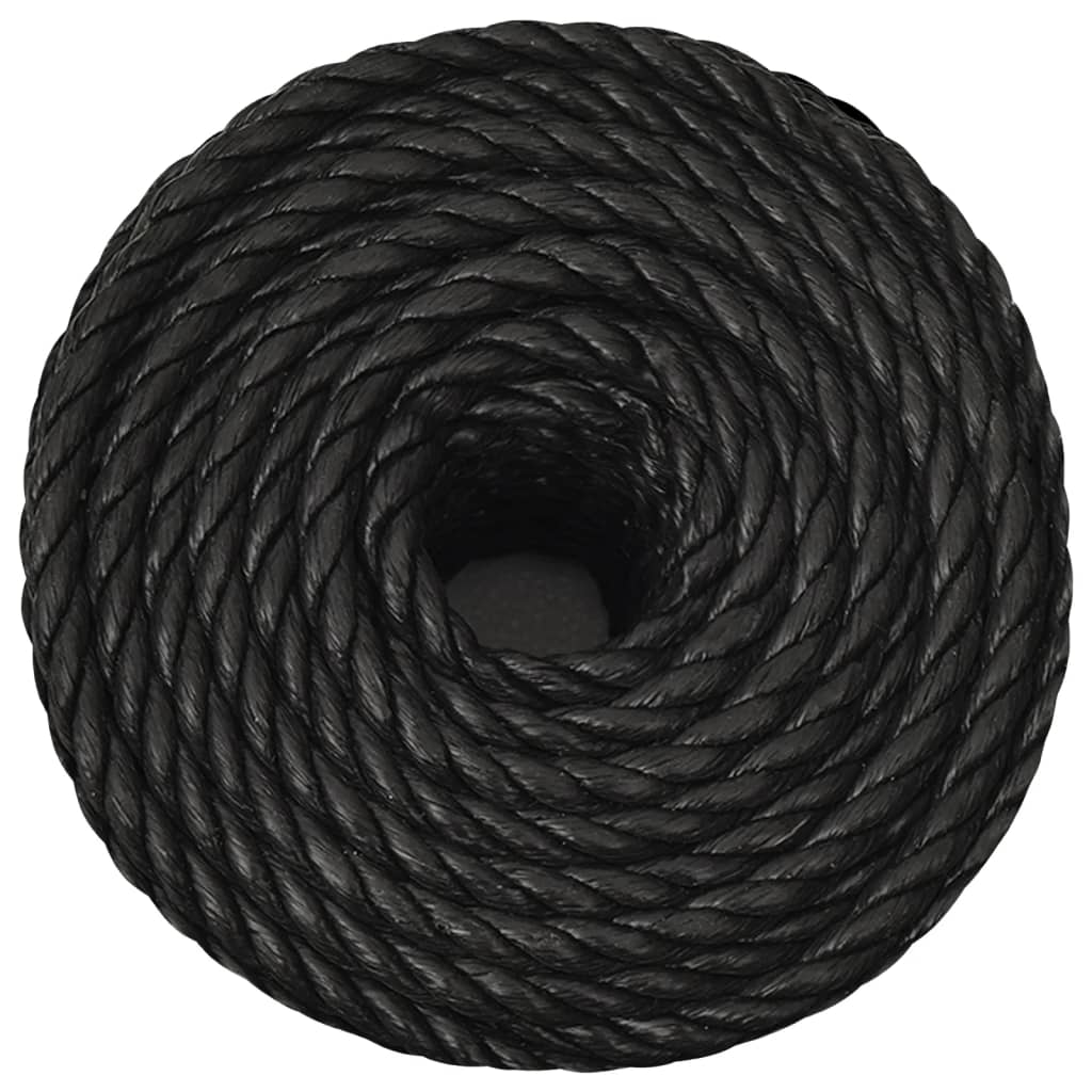 Vidaxl werkouw 24 mm 100 m de polypropène noir
