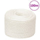 Vidaxl werkouw 10 mm 100 m en polypropène blanc
