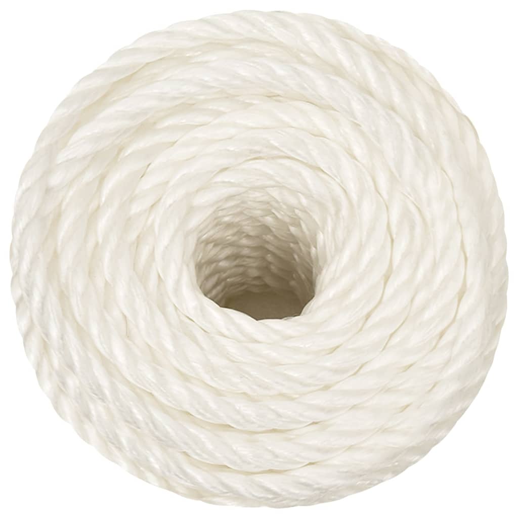 Vidaxl werkouw 10 mm 100 m en polypropène blanc