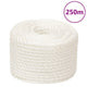 Vidaxl werkouw 16 mm 250 m en polypropène blanc