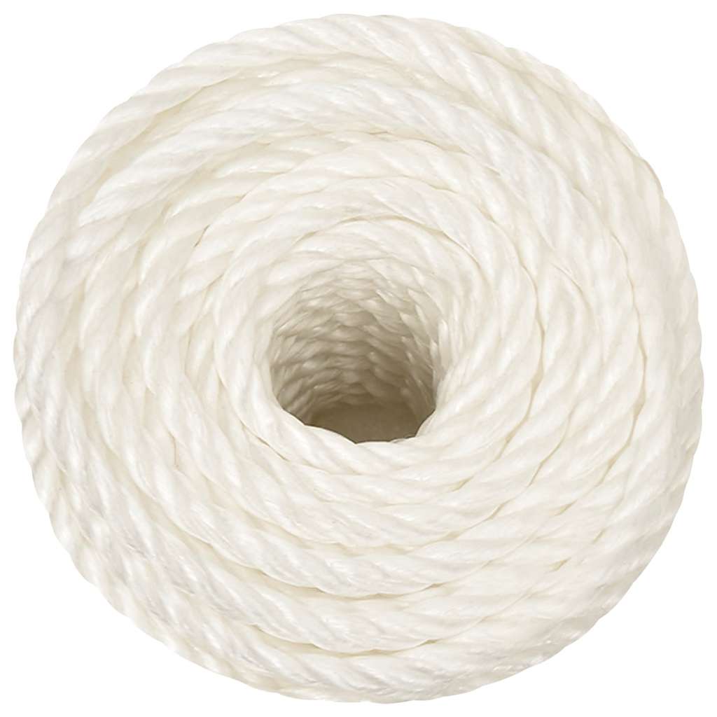 Vidaxl werkouw 16 mm 250 m en polypropène blanc