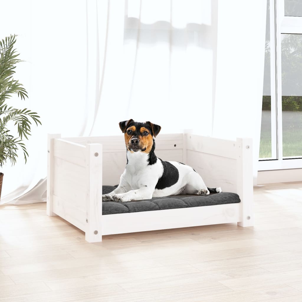 Vidaxl Dog Basket 55.5x45.5x28 cm Pine solide blanc