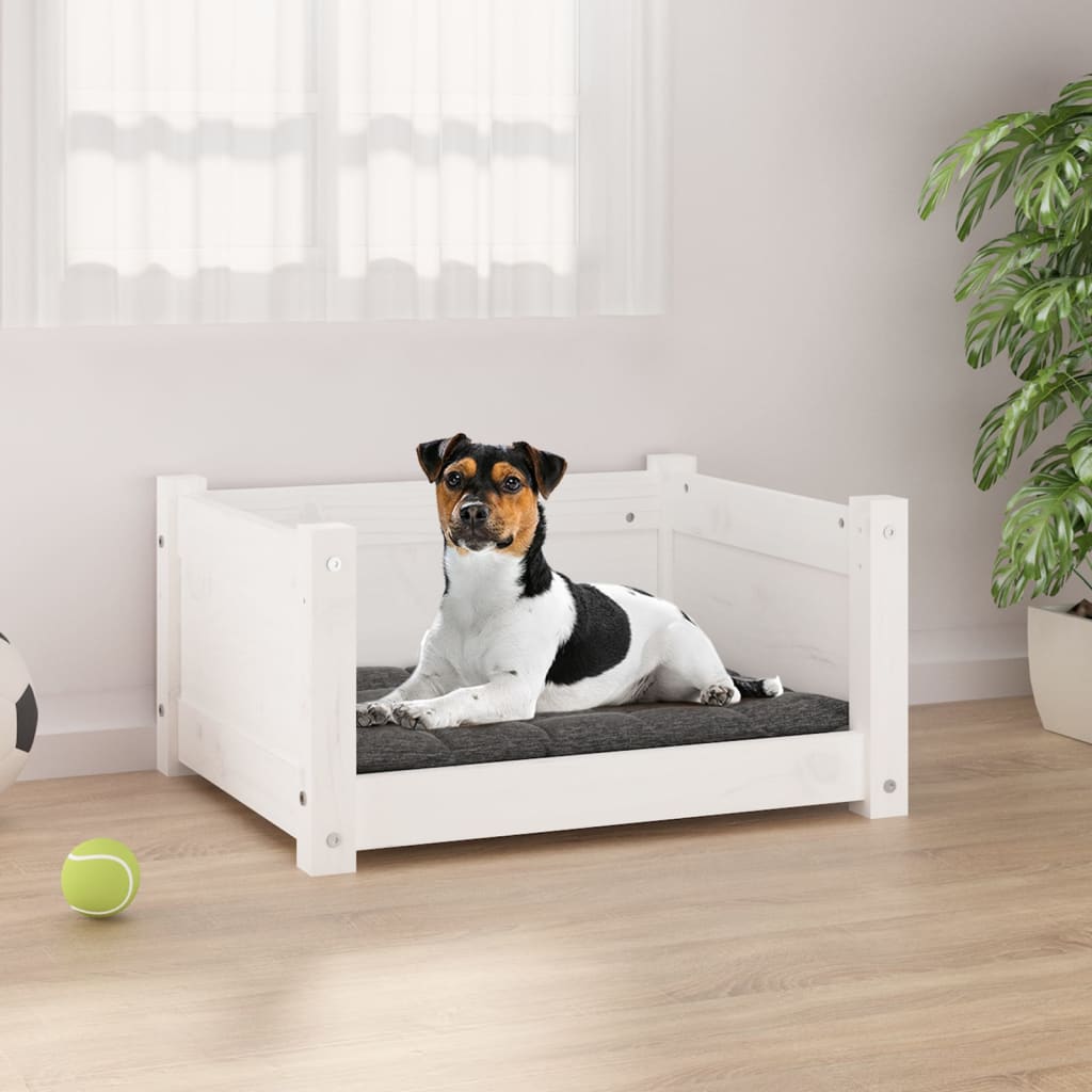 Vidaxl Dog Basket 55.5x45.5x28 cm Pine solide blanc