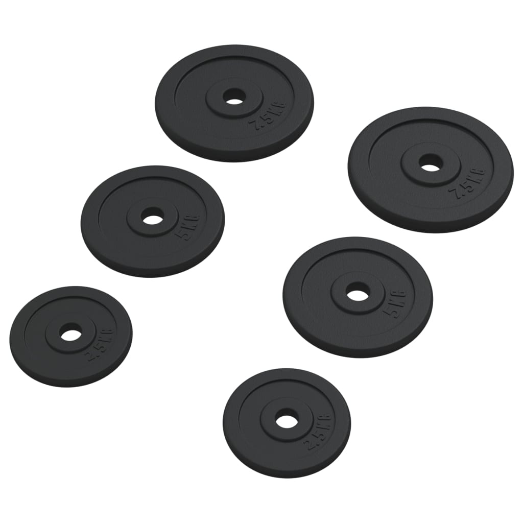 Disques licou vidaxl 6 pcs 30 kg de fonte