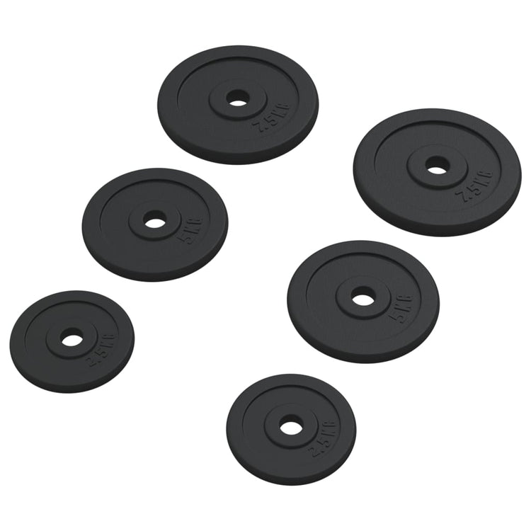 Disques licou vidaxl 6 pcs 30 kg de fonte