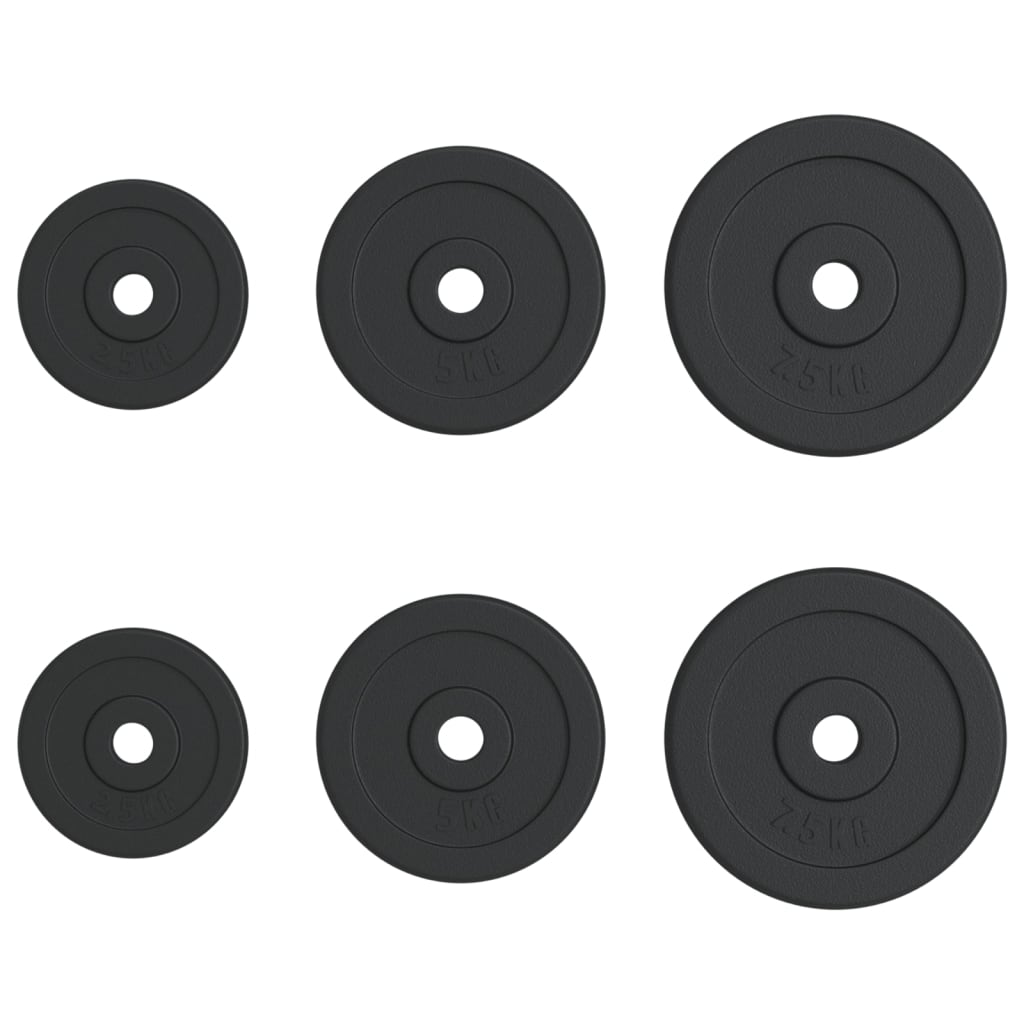 Disques licou vidaxl 6 pcs 30 kg de fonte