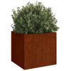 Vidaxl Plators 2 ST 42X40X39 CM CORTENSTAAL
