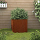 Vidaxl Planning Box 49x47x46 cm Cortenstaal