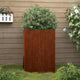 Vidaxl planteur 52x48x75 cm Cortenstaal
