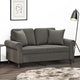 Vidaxl Coussins décoratifs 2 ST 40x40 cm en velours gris foncé
